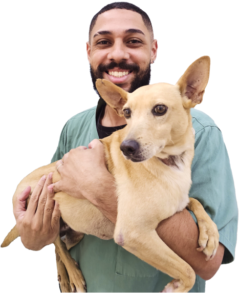 Civet Diagnósticos Veterinários - doguinho no ultrassom
